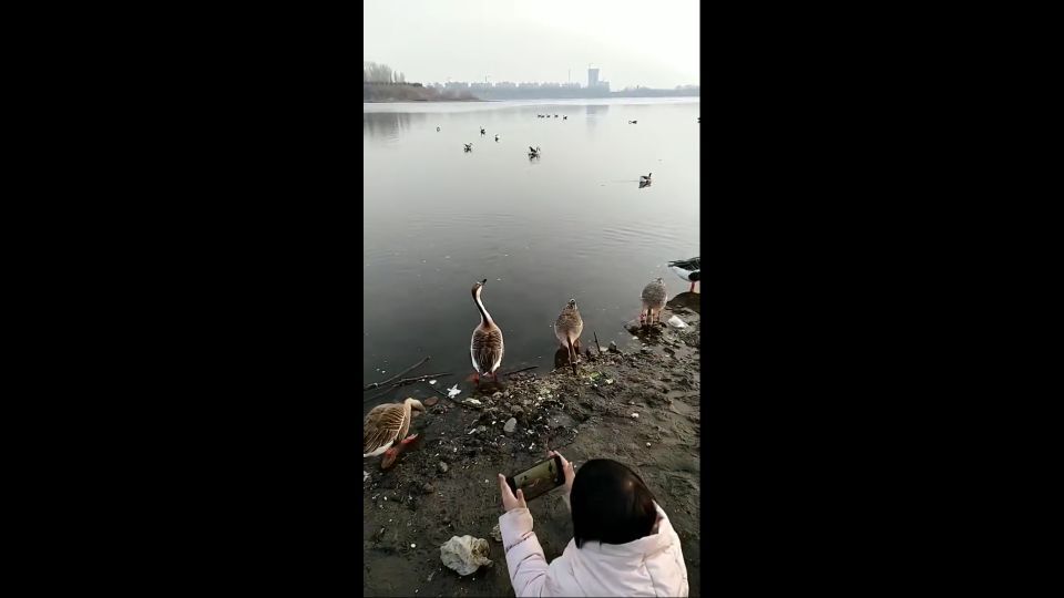 QQͼƬ20210222165519.jpg