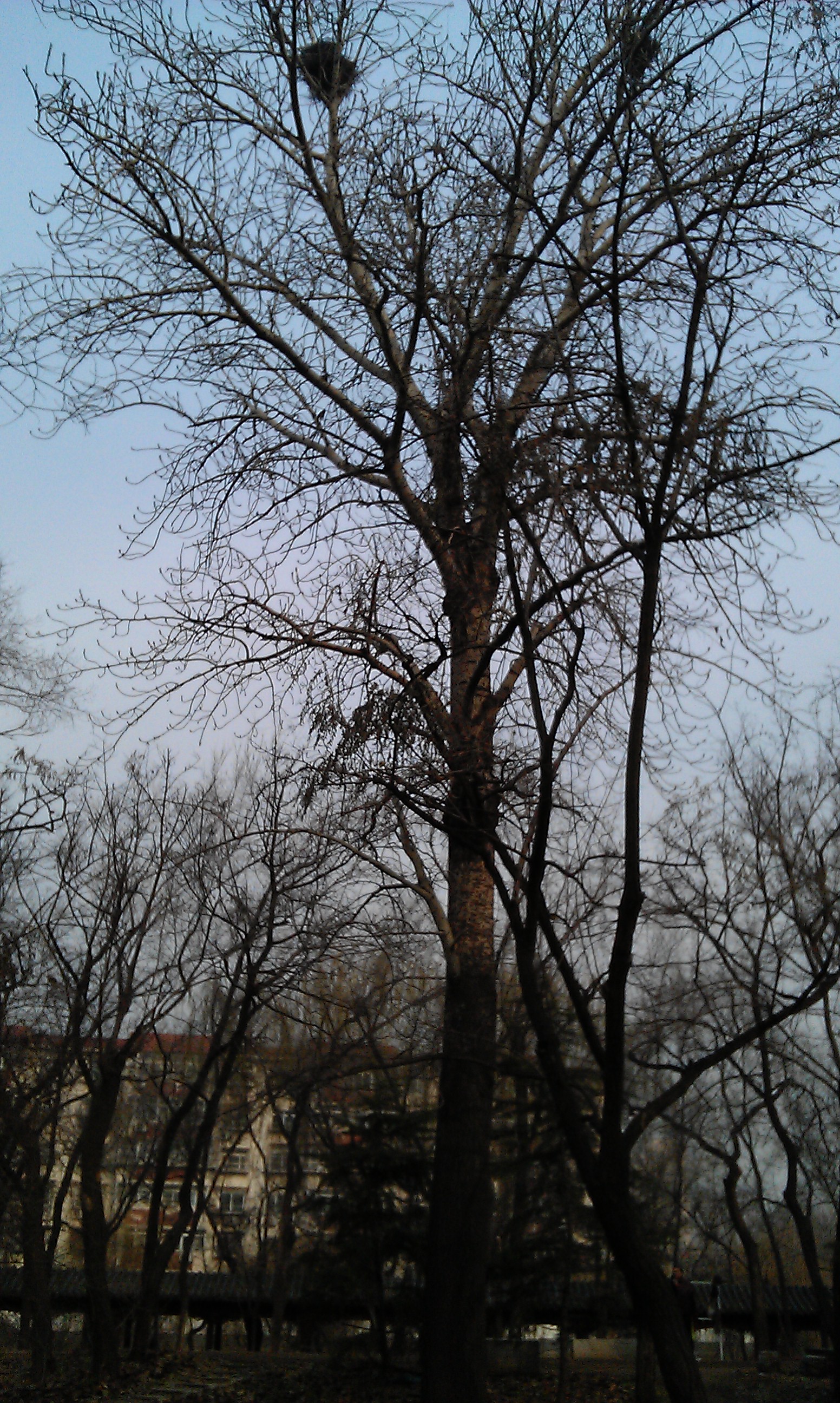 IMAG0065.jpg