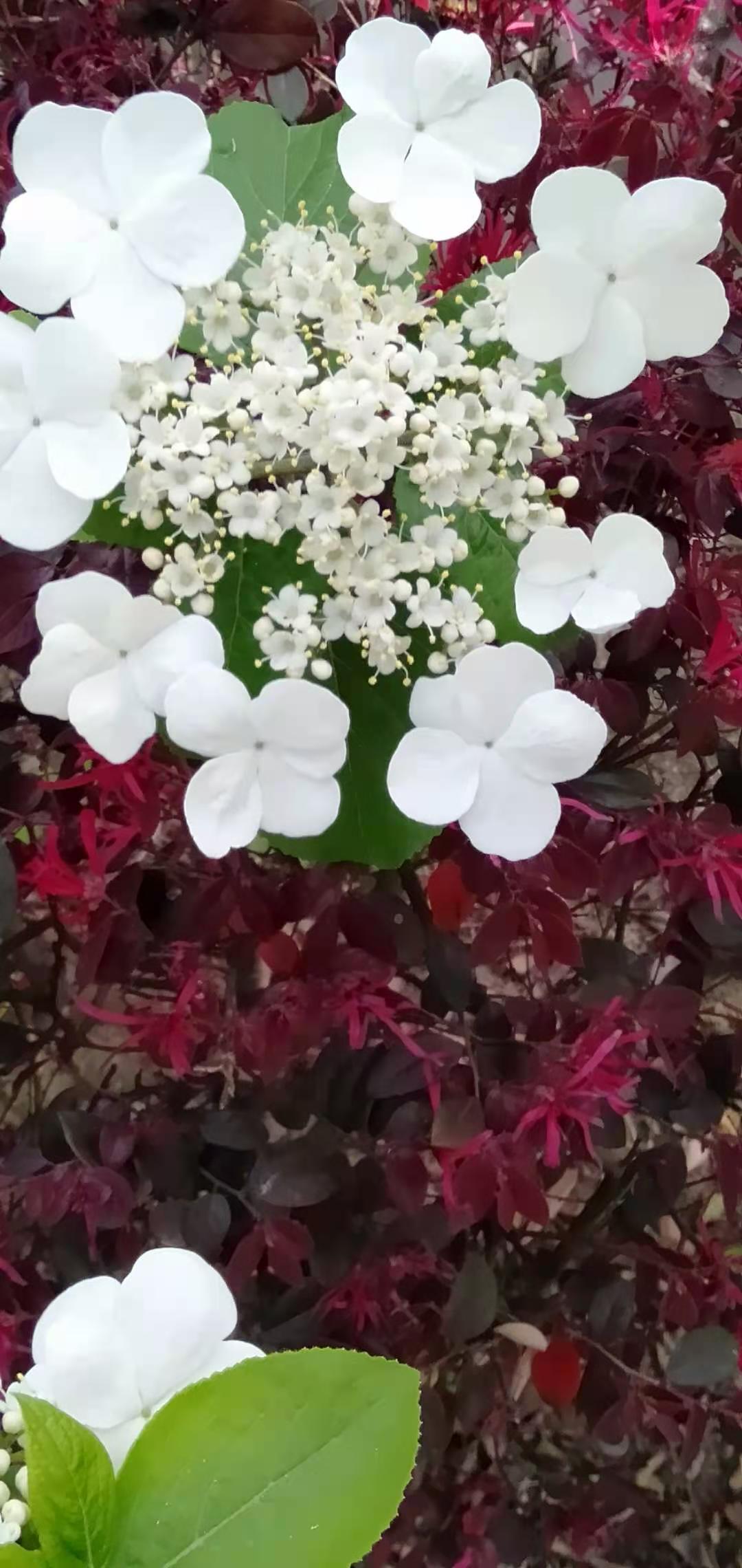 ΢��ͼƬ_20210419112257.jpg