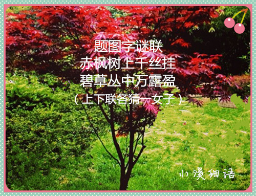 src=http___cbu01.alicdn.com_img_ibank_2014_129_799_1864997921_395784472.jpg&amp;re.jpg