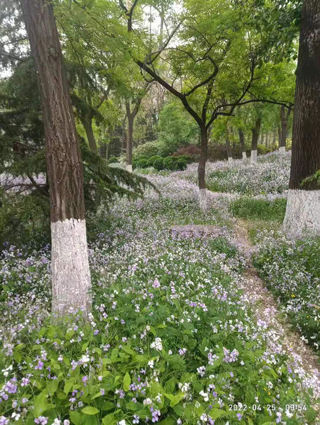 ΢��ͼƬ_20220509085218.jpg
