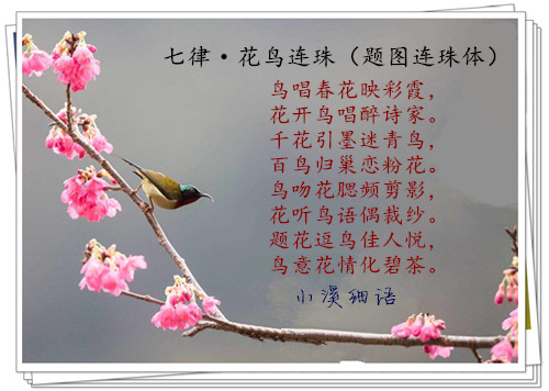 8e76c479b8f0641e325a29568c9f86ee_����.jpg