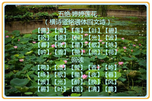 087dd4175fe2ff991d6943da6ba434d3_����.jpg