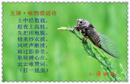 f378f32bff1df48804990fb31cbc8993_����.jpg