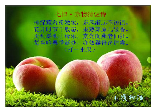 bd354c450b80c6a403c0ae76b6390cac_����.jpg