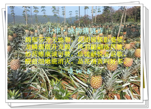 08f906935dc56eab0016c1334b66b292_����.jpg
