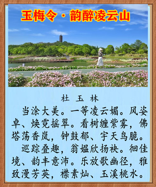 1452��÷����������ɽ.jpg