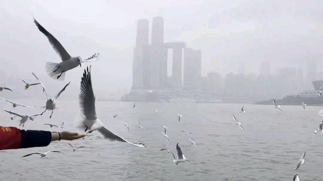 ΢��ͼƬ_20251121105801.jpg