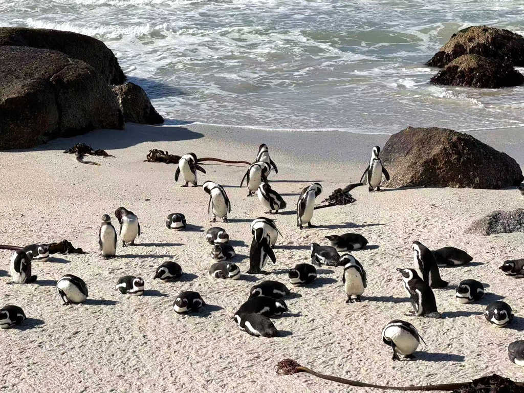΢��ͼƬ_20260615211443_324_1514.jpg